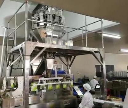 袋中袋中（zhōng）藥顆粒生產（chǎn）線 Bag-in-bag Traditional Chinese Medicine Pellet Production Line