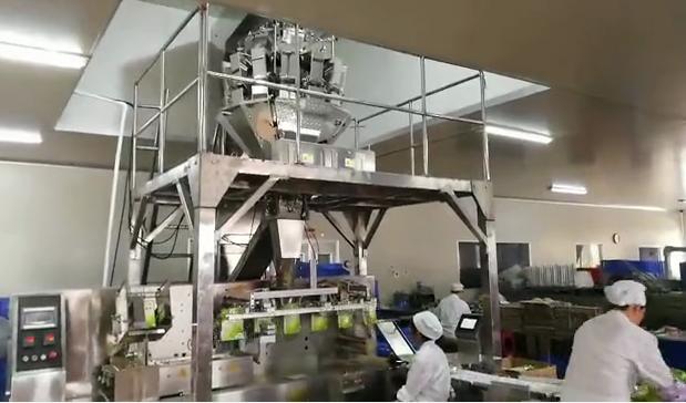 食品包裝機的組成部分和工作原(yuán)理(lǐ)